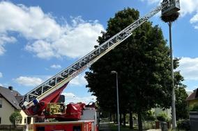 Drehleiter am Storchennest