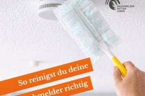 Staubwedel an einem Rauchmelder