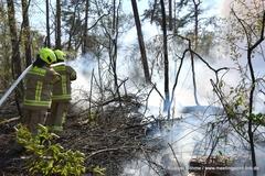 Waldbrand